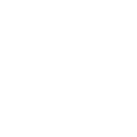 Nodes Icon